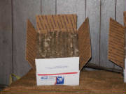 5 by 11 size mealcakes in a 8 by 12 priority mail